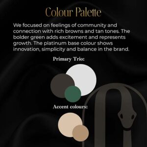 color palette